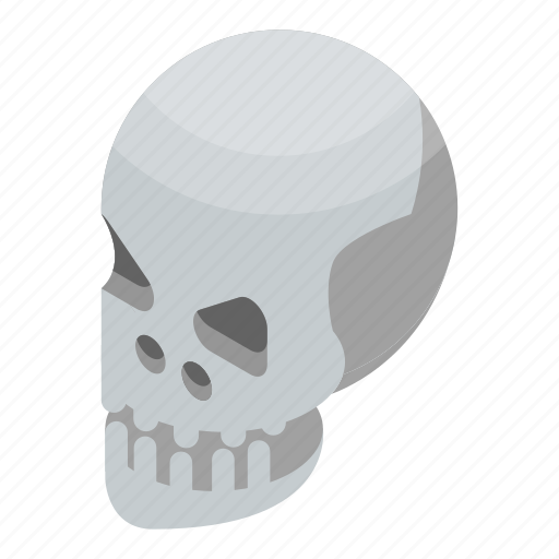 Anatomy, bone, cartoon, danger, human, isometric, skull icon - Download on Iconfinder