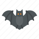 animal, bat, halloween, scary