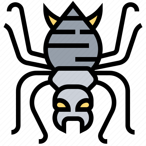 Bug, creepy, insect, pest, spider icon - Download on Iconfinder