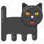 black cat, halloween cat, animal, pet animal, feline 