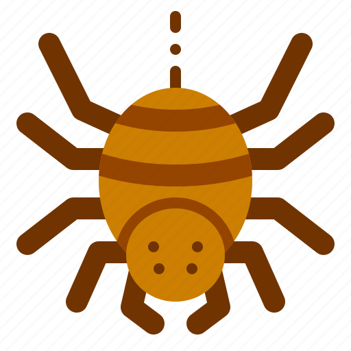 Spider, halloween, arachnid, insect, animal, bug, entomology icon - Download on Iconfinder