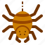 spider, halloween, arachnid, insect, animal, bug, entomology 