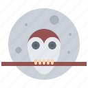 owl, tree, moon, branch, halloween, party, holiday