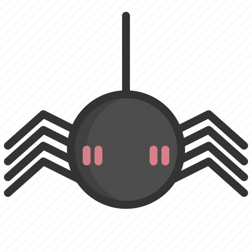 Day, spider, animal, web, halloween icon - Download on Iconfinder
