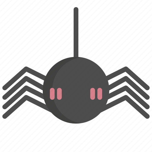 Day, spider, web, animal, halloween icon - Download on Iconfinder