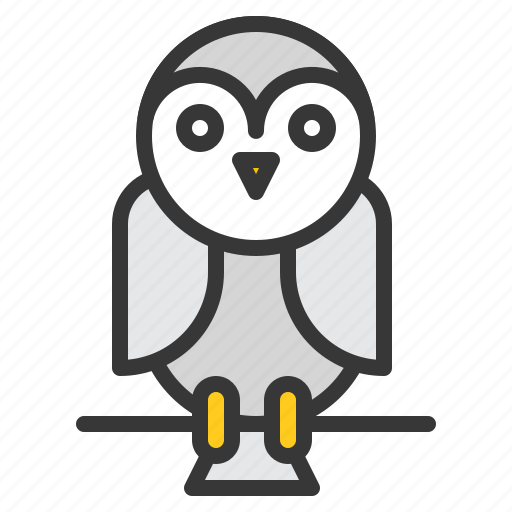 Bird, halloween, owl, scary, animal, barn owl icon - Download on Iconfinder