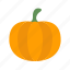 carved pumpkin, halloween, holidays, horror, pumpkin, spooky 