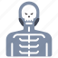 bone, halloween, holiday, horror, scary, skeleton, skull 