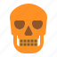 dead, halloween, head, skull 