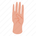 four, fingers, hand, isometric
