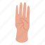 four, fingers, hand, isometric 