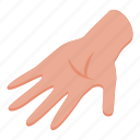 hand, palm, isometric