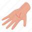 hand, palm, isometric 