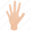finger, five, hand, human, isometric, palm, person 