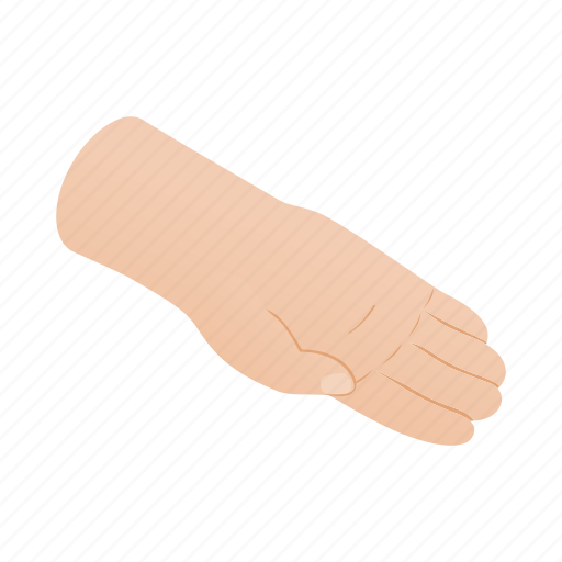 Arm, concept, finger, hand, human, isometric, palm icon - Download on Iconfinder