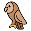owl, animal, animal icon, cute animal, animal logo, handrawn, vector animal, minimalist, bird 