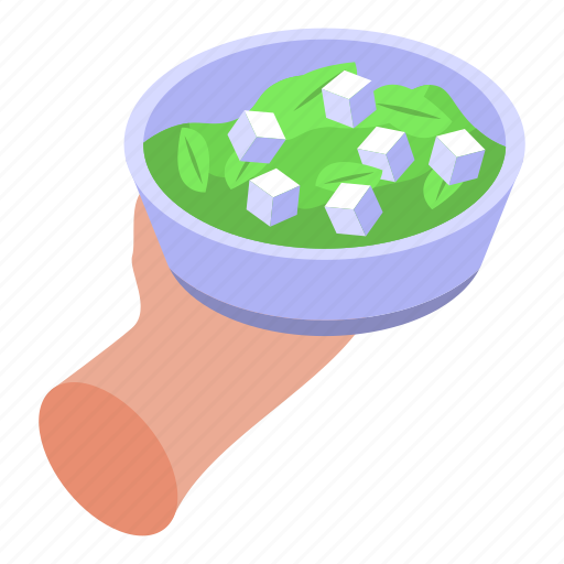 Salad, bowl, isometric icon - Download on Iconfinder