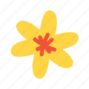 flower, flat, icon, floral, wildflower, yellow, nature, garden, bouquet
