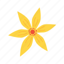 flower, flat, daffodil, yellow, icon, floral, nature, garden, bouquet