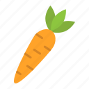 carrot, diet, food, fresh, healthy, organic, vegetable