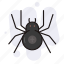 halloween, horror, insect, spider 