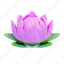 lotus, flower, nature, plant, blossom, garden, wellness, floral, beautiful 