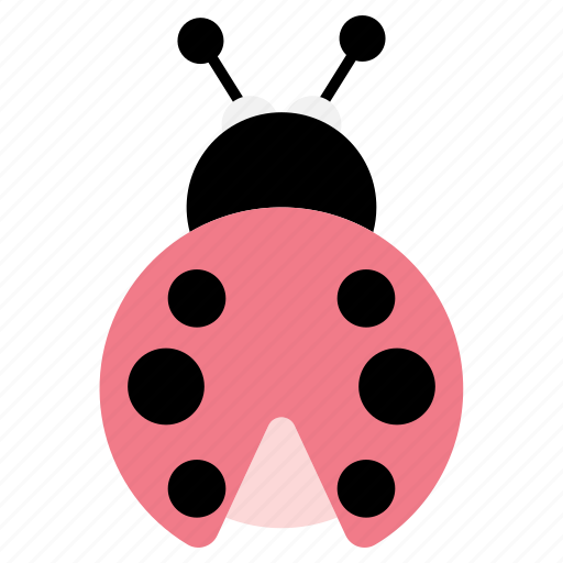 Ladybird, insect, bug icon - Download on Iconfinder