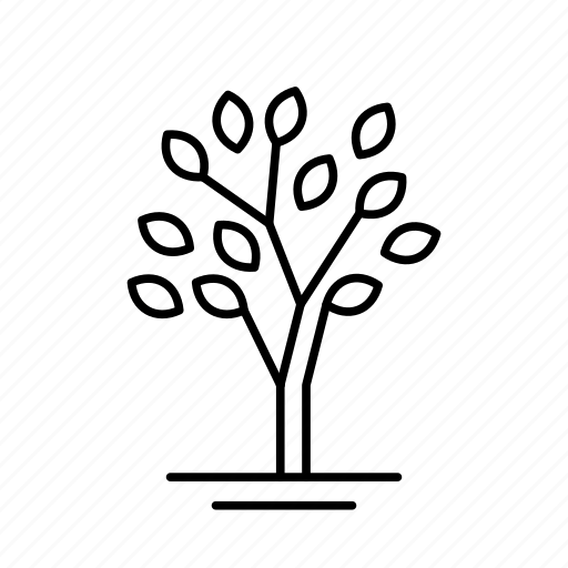 Tree, leaves, trunk, branches, plant icon - Download on Iconfinder
