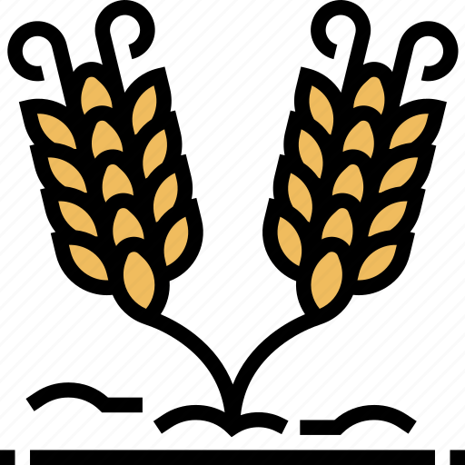 Wheat, barley, grain, farming, agriculture icon - Download on Iconfinder