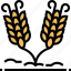 wheat, barley, grain, farming, agriculture 