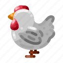 chicken, poultry, bird, farm, animal, feathers, rooster, hen, egg