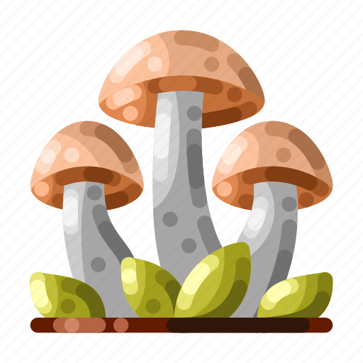Mushroom, fungus, fungi, forest, wild, toadstool, mycology icon - Download on Iconfinder
