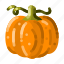 pumpkin, squash, gourd, harvest, halloween, vegetable, autumn, farm 