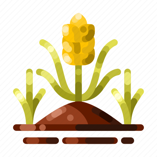 Ricefield, rice, paddy, field, agriculture, farm, crop icon - Download on Iconfinder