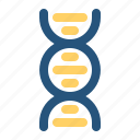 chromosome, dna, genetic, medical, molecule, science