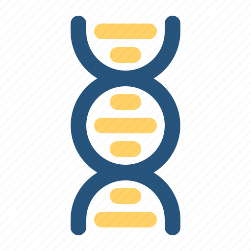 Chromosome, dna, genetic, medical, molecule, science icon - Download on Iconfinder