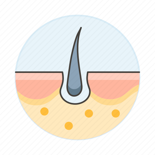 Cutaneuos, dermis, epidermis, follicle, hair, health, layer icon - Download on Iconfinder