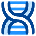 dna, biology, chromosome, gene, genetics, genome, science