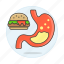 burger, condition, gastroenterology, health, heartburn, indigestion, medical, specialties, stomach 
