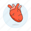 cardiology, circulatory, condition, health, heart, medical, specialties, system 