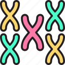 chromosome, gene, science, research, biology, genetic, illustration structure, illustration