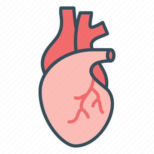 Cardiogram, cardiology, heart, medical, organ icon - Download on Iconfinder
