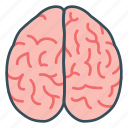 brain, medical, mind, neurology, neuron, organ