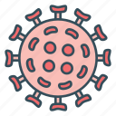 bacteria, corona, corona virus, covid19, disease, virus