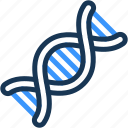 gene, dna, mutation, structure, deoxyribonucleic, acid, biology