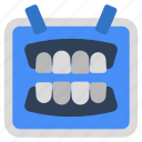 teeth gum, dentology, stomatology, denture gum, healthy gum