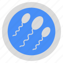 sperms, male reproductive cells, fertility cells, semen, spermatozoon