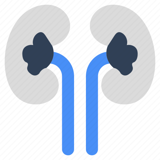 Kidney, nephron, human organ, artificial intelligence, ai icon - Download on Iconfinder