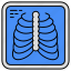 ribs, ribs cage, sternum, breastbone, ribs anatomy 