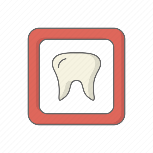 Care, health, human, medical, medicine, tooth icon - Download on Iconfinder